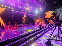 -西安小天鹅艺术团(金花路校区)