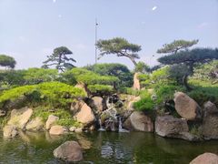 -罗红摄影艺术馆