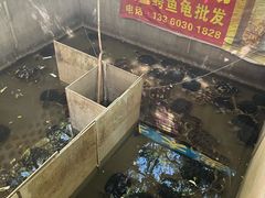 -龟场私房菜