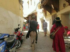 -穆莱拉赫制革厂