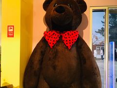 -济州岛泰迪熊博物馆