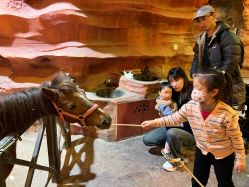 -酷嗒动物文化乐园(cutezoo西溪乐天城店)