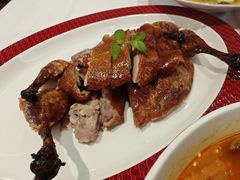 -圆苑(金茂店)
