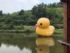 -清境桃源