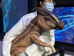 -侏罗纪世界电影特展(广州站)