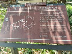 -九曜山