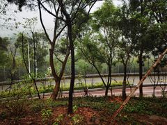 -梧桐山风景名胜区