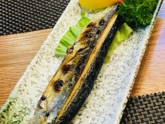 -樱の千渡日式料理·铁板烧•烧鸟(金盛田广场店)