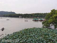 -湖畔居茶楼(湖滨店)