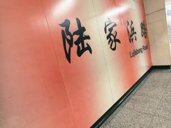 -陆家浜路(地铁站)