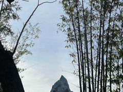 -奥兰多迪士尼动物王国乐园