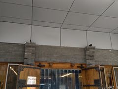 门面-晋宝章大同刀削面(和平里店)