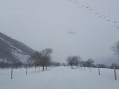 -西拉沐沦大峡谷园区
