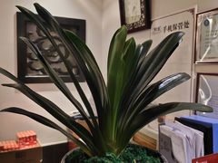 -儒之堂足道·SPA·推拿(莫干山路店)