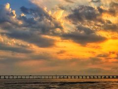 -宝安西湾红树林湿地公园