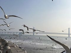 -星海广场