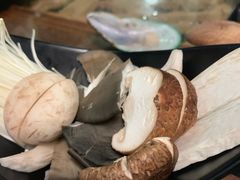 -丽江庭院之丽江往事(安定门店)