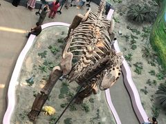 -辽宁古生物博物馆