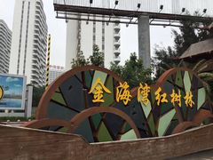 -北海金海湾红树林生态旅游区