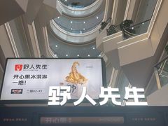 -野人先生Gelato(上海长宁龙之梦店)