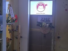 -楼上猫咖(罗湖店)