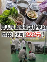 -麦粒鸟亲子游