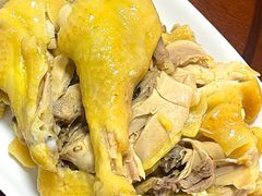 -领鲜土菜馆