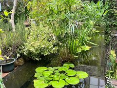 -肴约·花园式餐厅(湖里店)