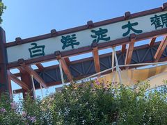 -白洋淀景区