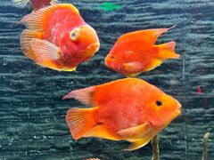 -海味世家·家常菜馆(明州里店)