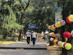 -大京沙滩