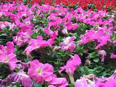 -人民公园(罗湖区)