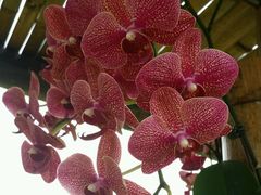 -武清南湖绿博园