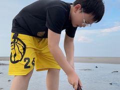 -南汇嘴观海公园