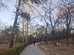 -元大都城垣遗址公园