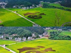 -万峰林风景区