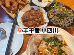 -爆炸头阿姨小四川正宗川味小吃(无任何分店)