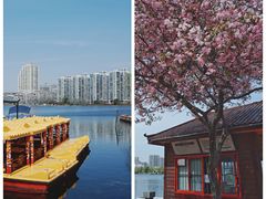 -莫愁湖公园