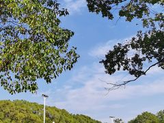 -嘉北郊野公园