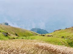 -萍乡武功山风景名胜区