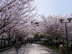 -名古屋城