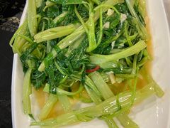 -松涛居·三墩烧鹅石岐乳鸽(西区店)