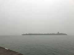 -绿杨馄饨临顿路店