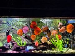 -上海海洋水族馆