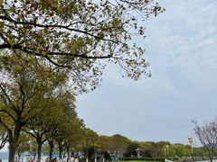 -东钱湖旅游度假区