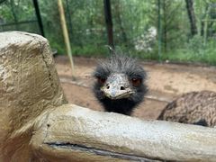 -青藏高原野生动物园