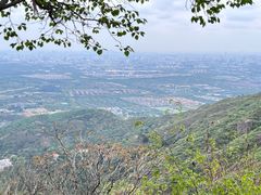 -香山公园