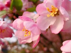 -杭州城北体育公园