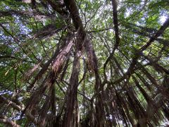 -胡里山炮台