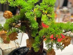 -宴长沙(五一广场店)